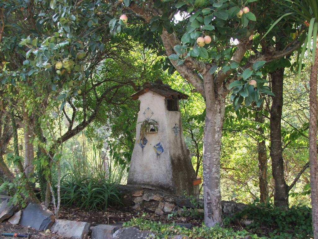 Chao Da Lousa Dornes Ngoại thất bức ảnh