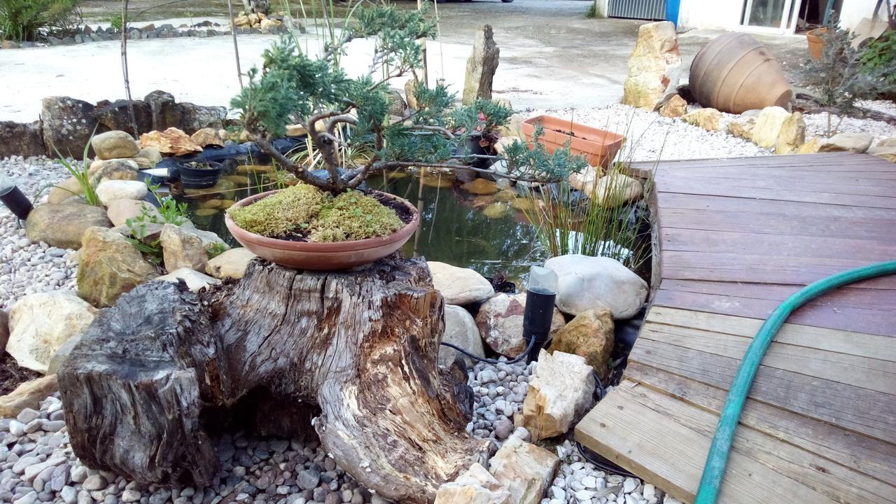 Chao Da Lousa Dornes Ngoại thất bức ảnh